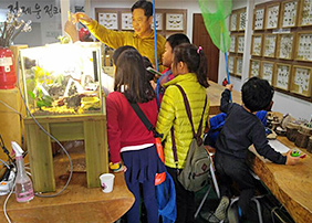 우리끼리 체험학습 : 곤충박물관 관람